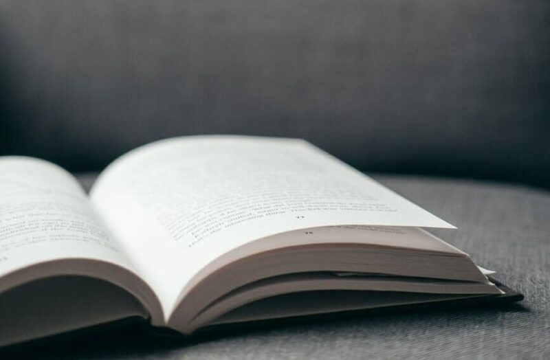 opened book of literary work on sofa